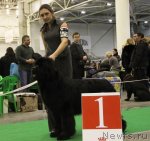 Превью фото № 112632