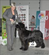 Превью фото № 118333