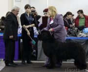 Превью фото № 120850