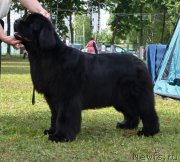 Превью фото № 128623