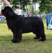 Превью фото № 128625