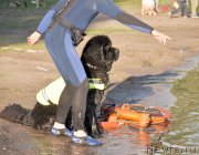 Превью фото № 129907