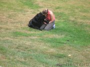 Превью фото № 136340