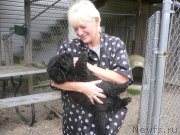 Превью фото № 136346