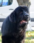 Превью фото № 139364