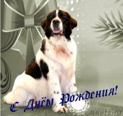 Превью фото № 142239