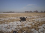 Превью фото № 143765