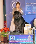 Превью фото № 148051