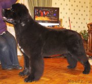 Превью фото № 149959