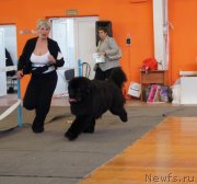 Превью фото № 150893