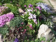 Превью фото № 153742