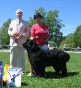 Превью фото № 156515