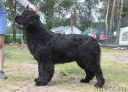 Превью фото № 158092