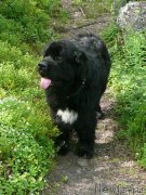 Превью фото № 159463