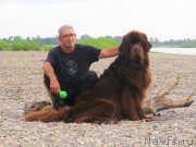 Превью фото № 159513