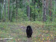 Превью фото № 162735