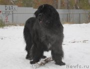 Превью фото № 166339