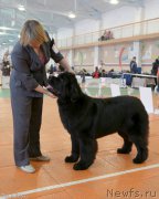 Превью фото № 173120