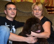 Превью фото № 173236