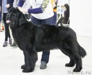 Превью фото № 173381