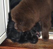 Превью фото № 173686