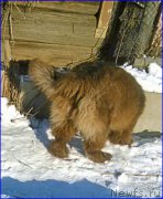 Превью фото № 174044