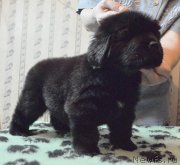 Превью фото № 175746