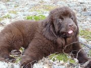 Превью фото № 180109