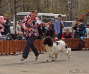 Превью фото № 180613