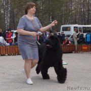 Превью фото № 180620