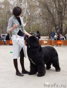 Превью фото № 180751