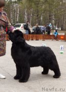 Превью фото № 180772