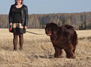 Превью фото № 181163