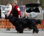 Превью фото № 181250