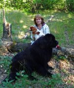 Превью фото № 184617