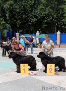 Превью фото № 184810