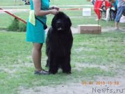 Превью фото № 186021