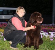 Превью фото № 186211