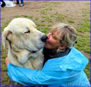 Превью фото № 186720