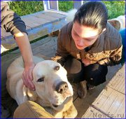 Превью фото № 189857