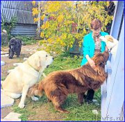 Превью фото № 192417