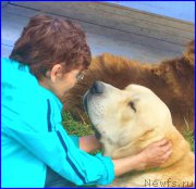 Превью фото № 192686