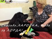 Превью фото № 196672