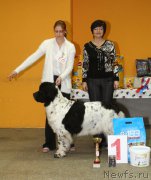 Превью фото № 203183