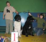 Превью фото № 20506