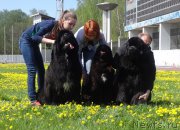 Превью фото № 207173