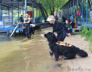 Превью фото № 209503