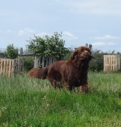 Превью фото № 209734