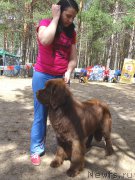 Превью фото № 210493