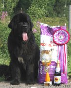 Превью фото № 210914